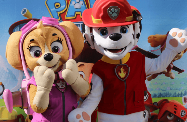 Ontmoet de PAW Patrol